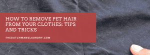 How to Remove Pet Hair from Your Clothes Tips and Tricks The Dutchmans Laundry Clarksville Tennessee