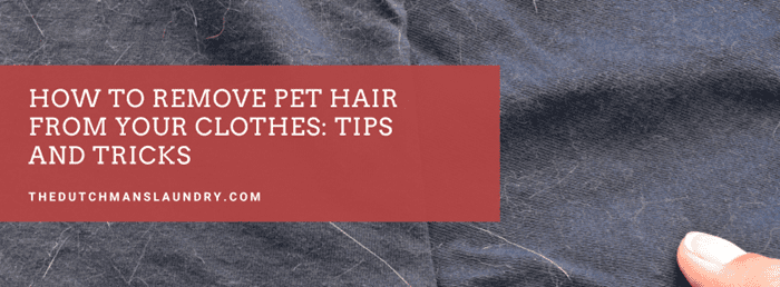 How to Get Pet Hair Removed from your Clothing