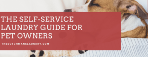 The Self-Service Laundry Guide for Pet Owners