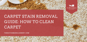 A close-up of a stained carpet with a text overlay that reads, "Carpet Stain Removal Guide: How to Clean Carpet," from The Dutchman's Laundry.