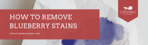 A paper towel with a blueberry stain is shown next to a red banner that reads, "How to Remove Blueberry Stains, The Dutchman's Laundry.
