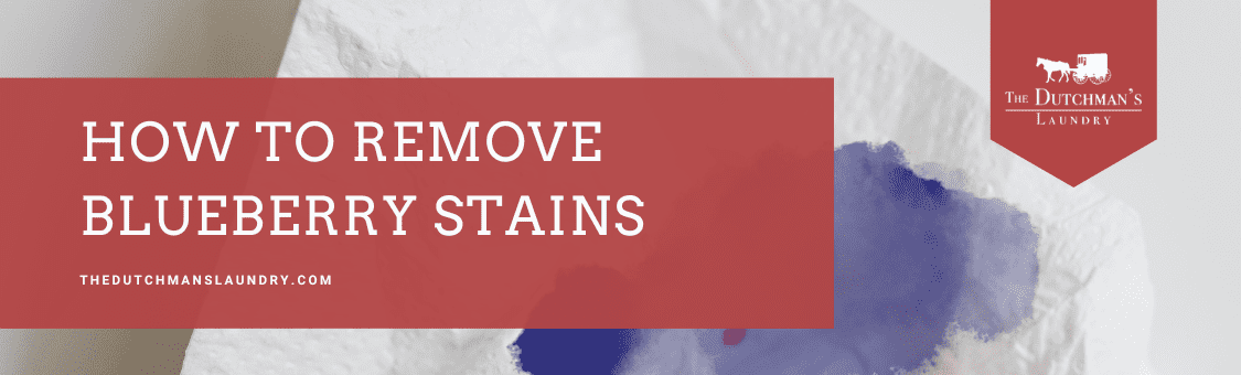 A paper towel with a blueberry stain is shown next to a red banner that reads, "How to Remove Blueberry Stains, The Dutchman's Laundry.