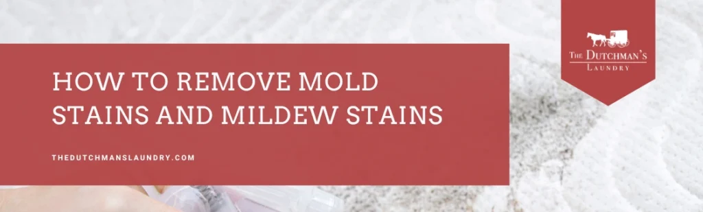 A person sprays cleaner on a carpet with visible mold stains. Text reads, "How to Remove Mold Stains and Mildew Stains. thedutchmanslaundry.com.