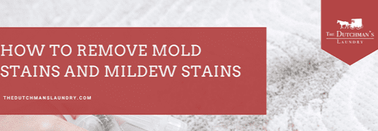 A banner reads "How to Remove Mold Stains and Mildew Stains" with The Dutchman's Laundry logo in the top right corner.