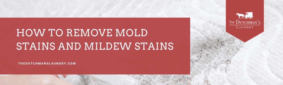 Banner with the text "How to Remove Mold Stains and Mildew Stains" from The Dutchman's Laundry, showing a person cleaning a light-colored fabric.